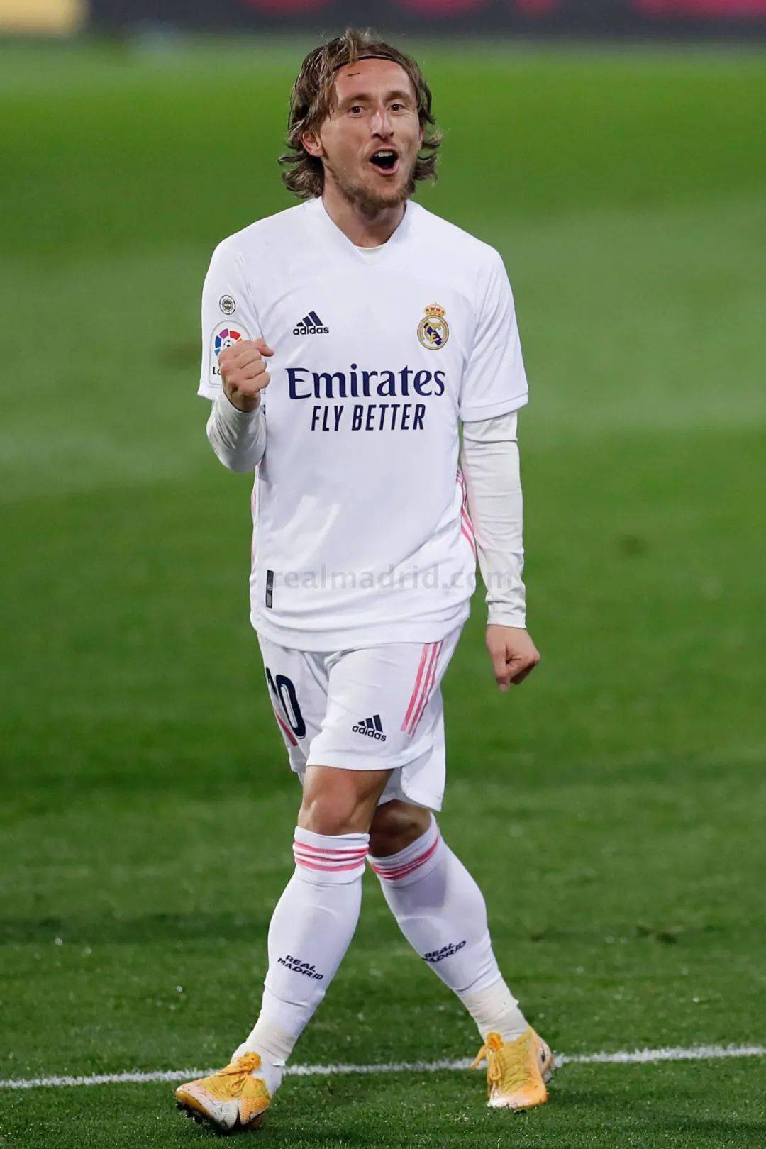 三位候选人 三位候选人